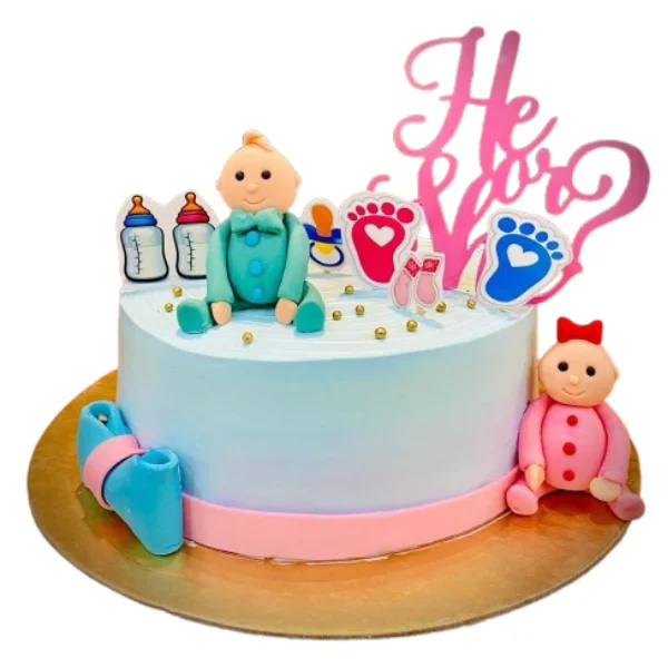 Baby Themed Chocolate Cake