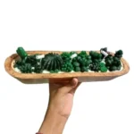 Cactus Wooden Boat Try Candle