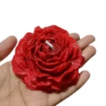 Peony Bloom Candle